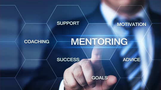 Personalized mentorship tailored to your business